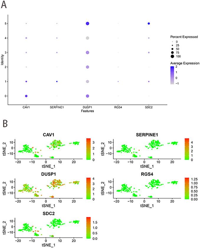 https://cdn.ncbi.nlm.nih.gov/pmc/blobs/285f/11769819/19406d015d46/fonc-14-1499580-g009.jpg