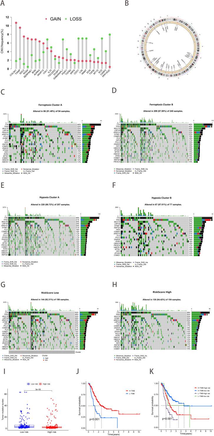 https://cdn.ncbi.nlm.nih.gov/pmc/blobs/285f/11769819/5023c71c765e/fonc-14-1499580-g005.jpg