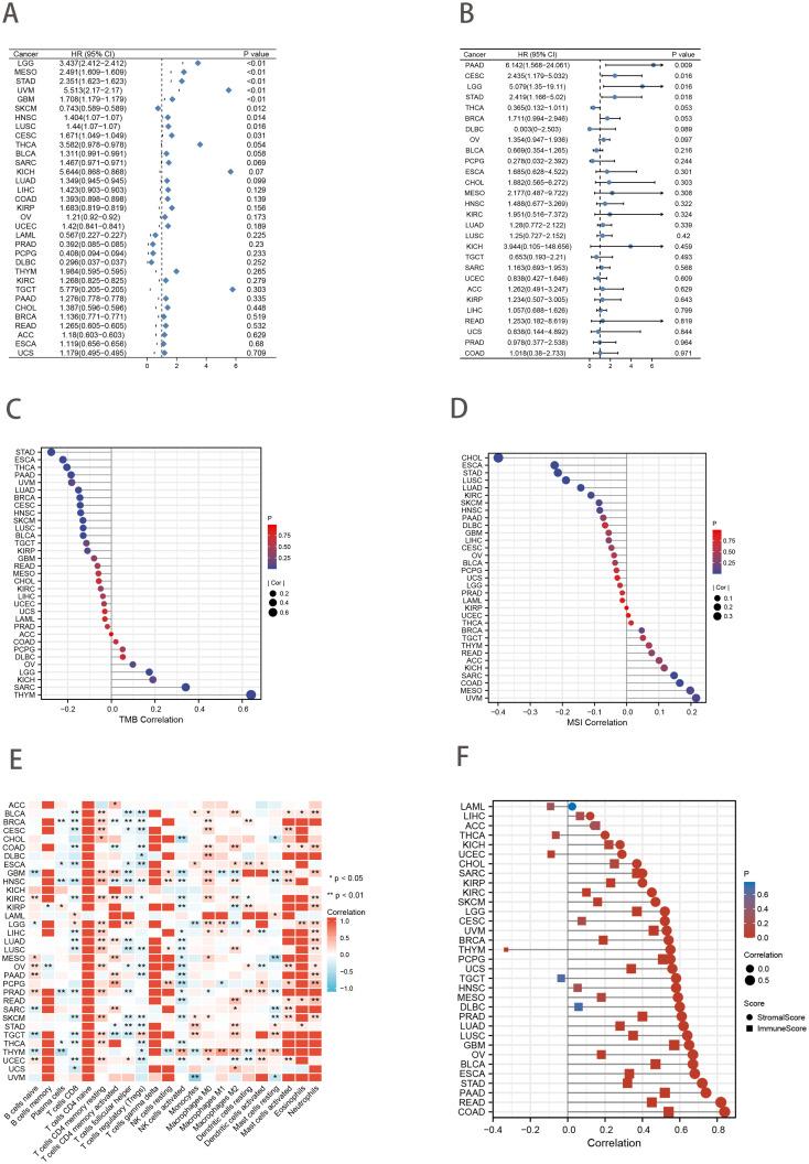 https://cdn.ncbi.nlm.nih.gov/pmc/blobs/285f/11769819/89da262fc5ea/fonc-14-1499580-g008.jpg