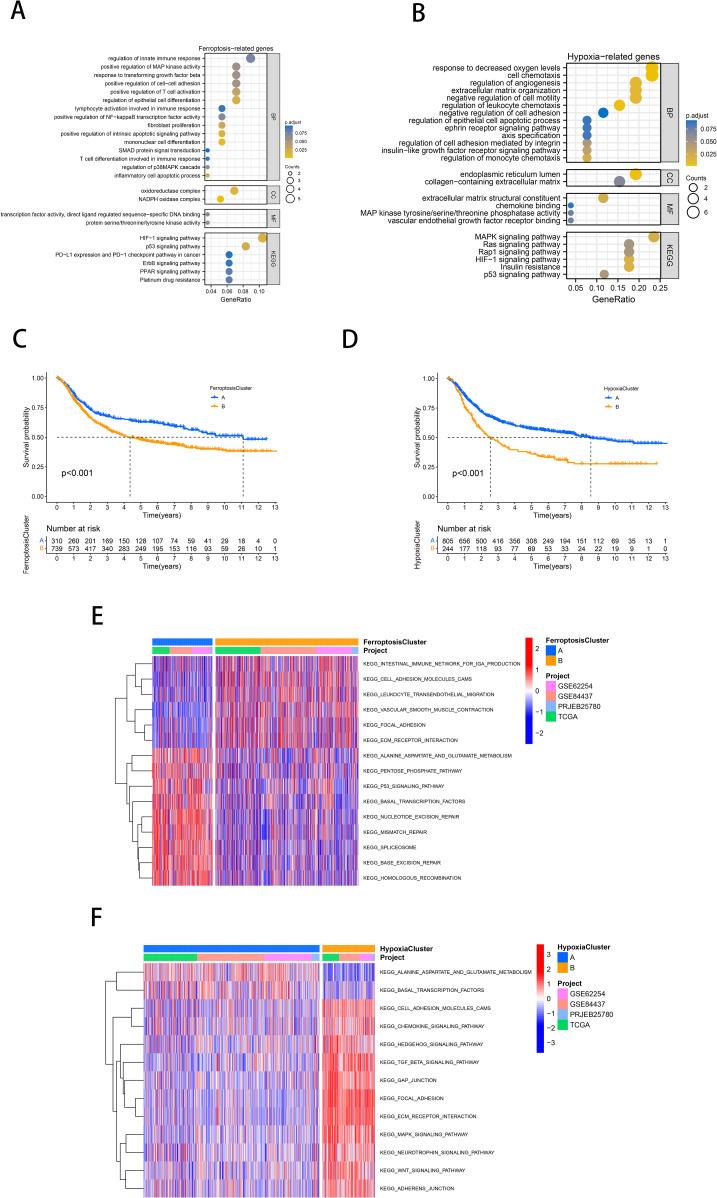 https://cdn.ncbi.nlm.nih.gov/pmc/blobs/285f/11769819/bcadbc92f098/fonc-14-1499580-g002.jpg