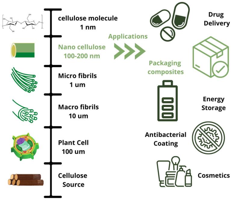 https://cdn.ncbi.nlm.nih.gov/pmc/blobs/2861/10006885/f55713da9570/polymers-15-01219-g001.jpg