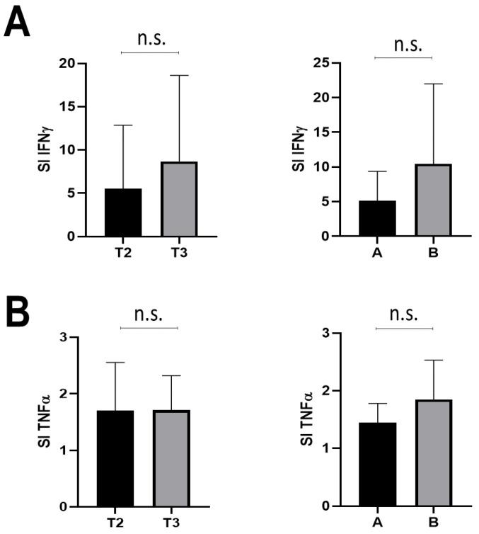 https://cdn.ncbi.nlm.nih.gov/pmc/blobs/2862/10252549/0be052dbe481/cells-12-01447-g004.jpg