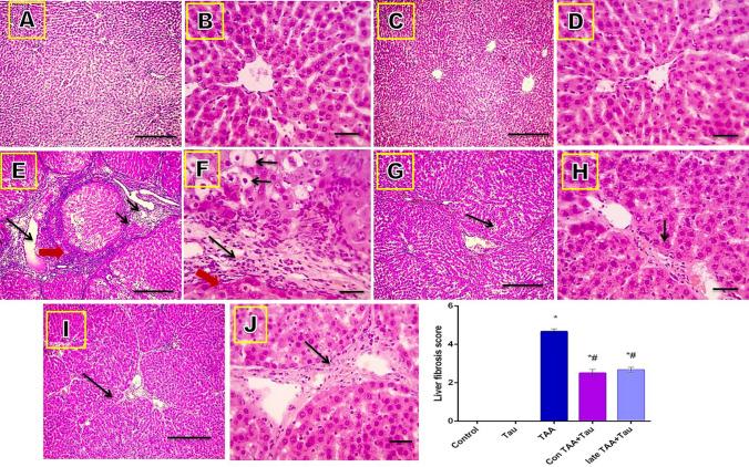 https://cdn.ncbi.nlm.nih.gov/pmc/blobs/2862/8192756/78f079b34126/41598_2021_91666_Fig4_HTML.jpg