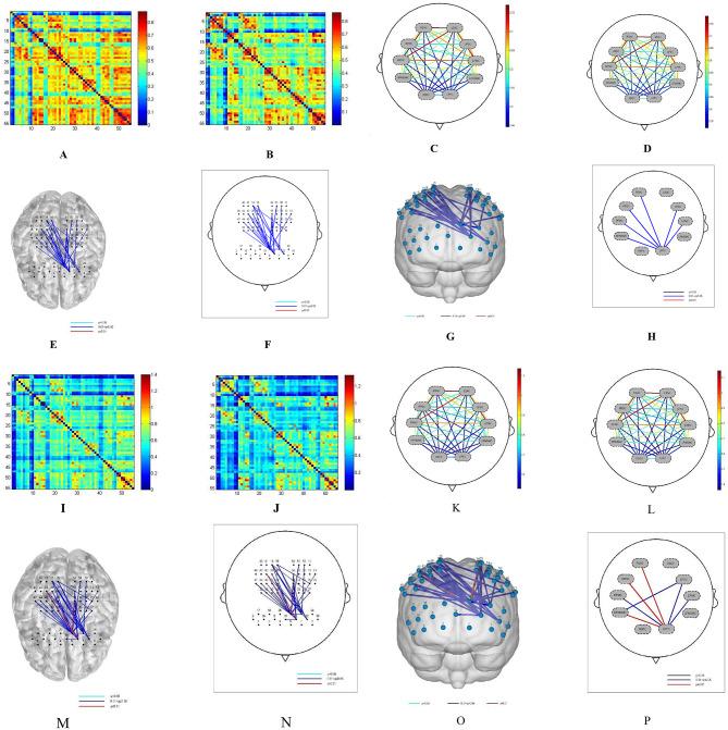 https://cdn.ncbi.nlm.nih.gov/pmc/blobs/2863/12211333/4bcbd2bd3fe4/12912_2025_3383_Fig4_HTML.jpg