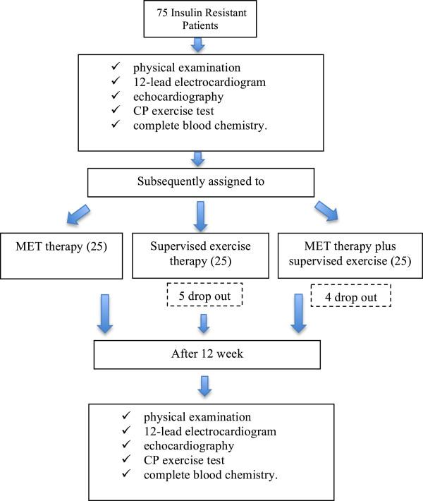 https://cdn.ncbi.nlm.nih.gov/pmc/blobs/2863/4030458/48445022b32c/1475-2840-13-93-1.jpg