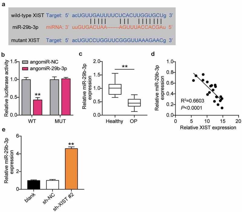 https://cdn.ncbi.nlm.nih.gov/pmc/blobs/2863/8806730/57dc88067c6e/KBIE_A_1967711_F0004_OC.jpg