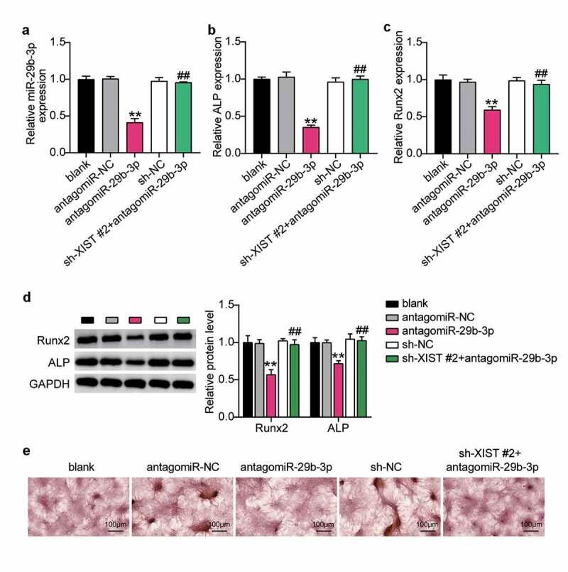 https://cdn.ncbi.nlm.nih.gov/pmc/blobs/2863/8806730/a45f4f8e7306/KBIE_A_1967711_F0005_OC.jpg