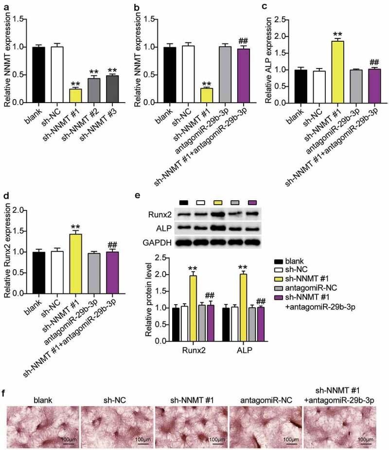 https://cdn.ncbi.nlm.nih.gov/pmc/blobs/2863/8806730/f3dc04a48b8e/KBIE_A_1967711_F0007_OC.jpg