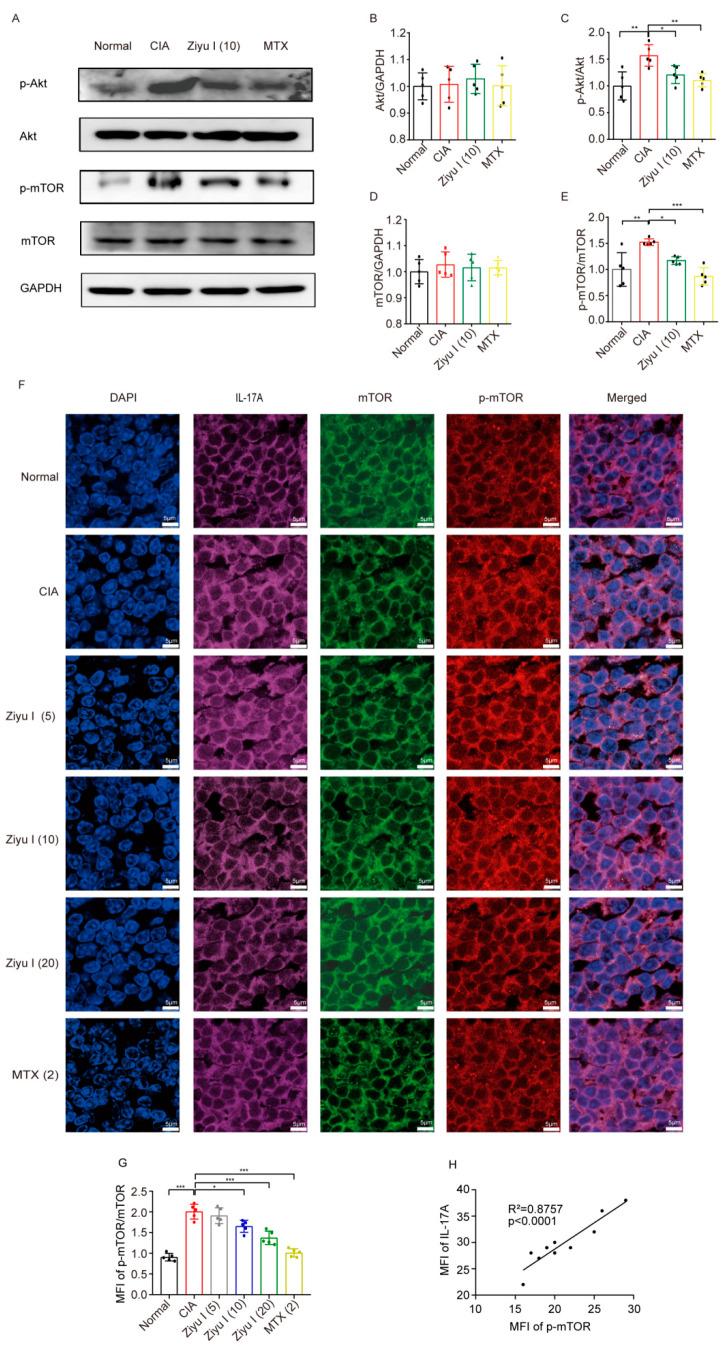 https://cdn.ncbi.nlm.nih.gov/pmc/blobs/2864/9786935/4be4dbaf2187/ijms-23-16105-g006.jpg