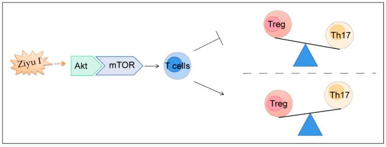 https://cdn.ncbi.nlm.nih.gov/pmc/blobs/2864/9786935/5d1b43f4aa6e/ijms-23-16105-g007.jpg