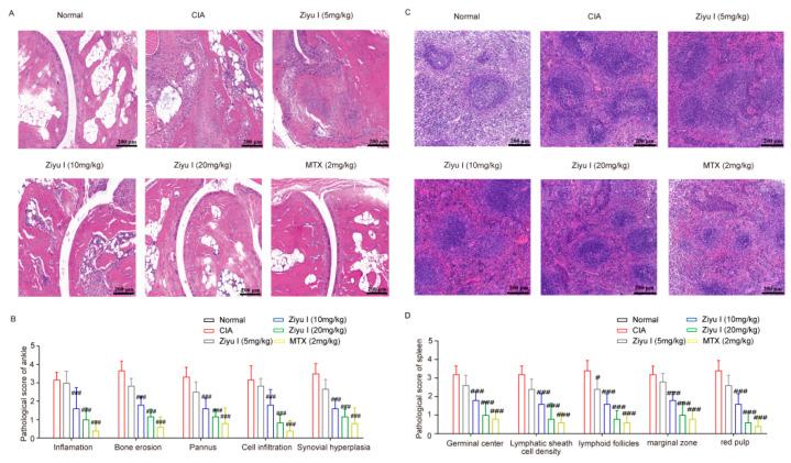 https://cdn.ncbi.nlm.nih.gov/pmc/blobs/2864/9786935/6fa55379002c/ijms-23-16105-g002.jpg