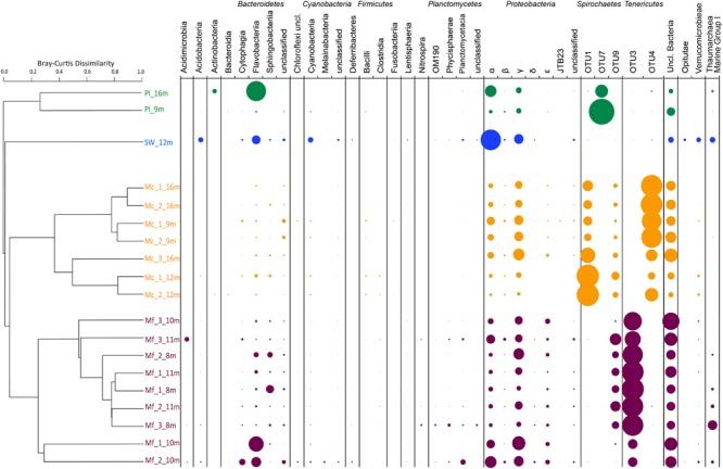 https://cdn.ncbi.nlm.nih.gov/pmc/blobs/2865/4914490/8c393b57e30c/fmicb-07-00917-g003.jpg