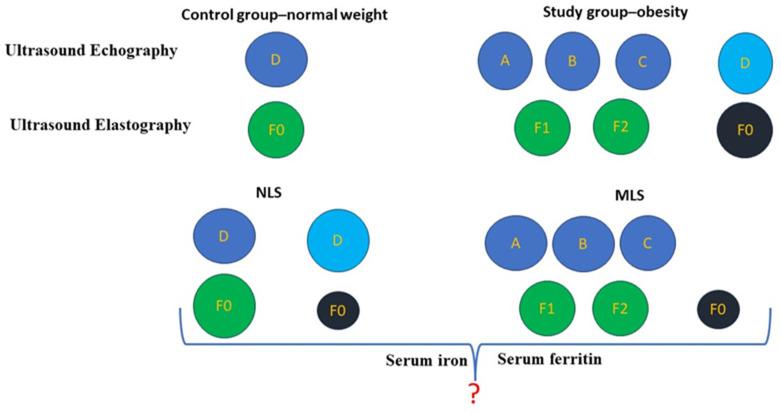https://cdn.ncbi.nlm.nih.gov/pmc/blobs/2866/11051232/af0a3898d001/life-14-00484-g001.jpg