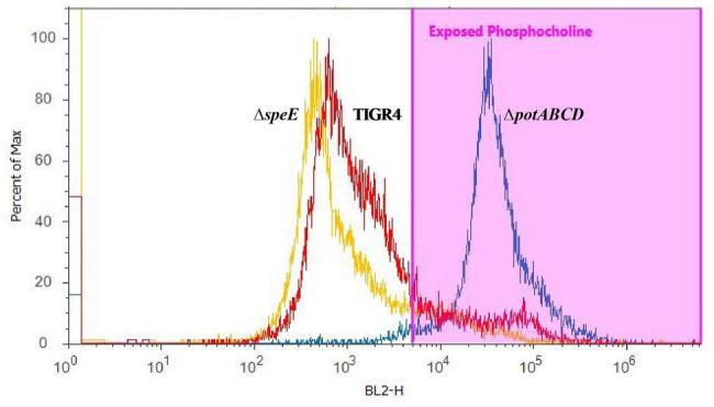 https://cdn.ncbi.nlm.nih.gov/pmc/blobs/2866/7531197/98531c473d57/fmicb-11-578533-g003.jpg