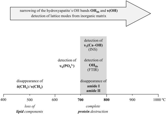 https://cdn.ncbi.nlm.nih.gov/pmc/blobs/2868/6206023/fa11c0589ba4/41598_2018_34376_Fig8_HTML.jpg