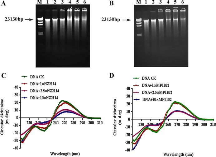 https://cdn.ncbi.nlm.nih.gov/pmc/blobs/286b/5608353/cfdd0cd68c53/pone.0185215.g005.jpg