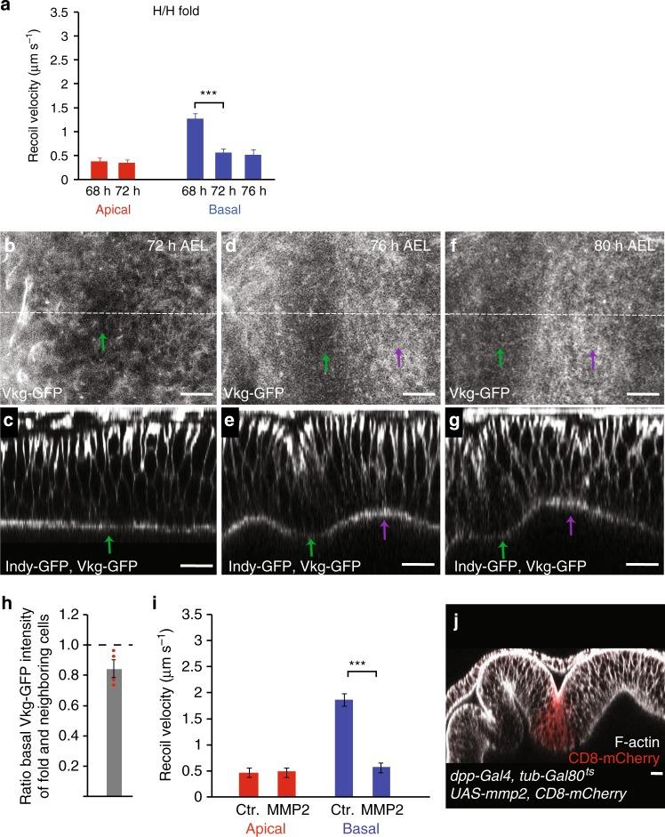 https://cdn.ncbi.nlm.nih.gov/pmc/blobs/286b/6218478/5d5c96cdd031/41467_2018_6497_Fig5_HTML.jpg
