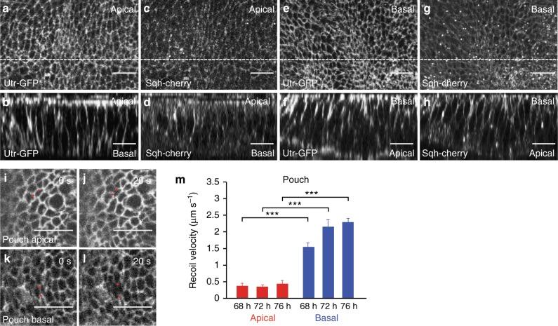 https://cdn.ncbi.nlm.nih.gov/pmc/blobs/286b/6218478/d48034ada396/41467_2018_6497_Fig3_HTML.jpg