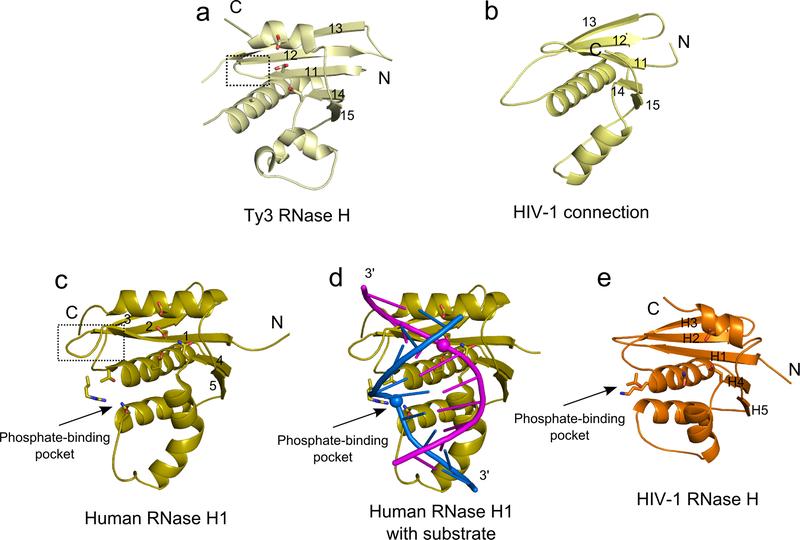 https://cdn.ncbi.nlm.nih.gov/pmc/blobs/286b/6321743/5b1f58c10a32/nihms-566381-f0002.jpg