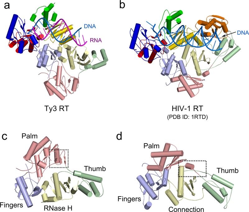 https://cdn.ncbi.nlm.nih.gov/pmc/blobs/286b/6321743/9cf18173df90/nihms-566381-f0005.jpg