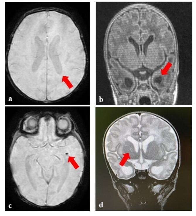 https://cdn.ncbi.nlm.nih.gov/pmc/blobs/286e/12181892/f5dc08eb4b89/13052_2025_2017_Fig2_HTML.jpg
