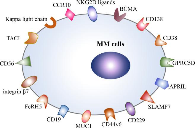 https://cdn.ncbi.nlm.nih.gov/pmc/blobs/2871/9986336/34b9cb5ed44d/fimmu-14-1101495-g001.jpg