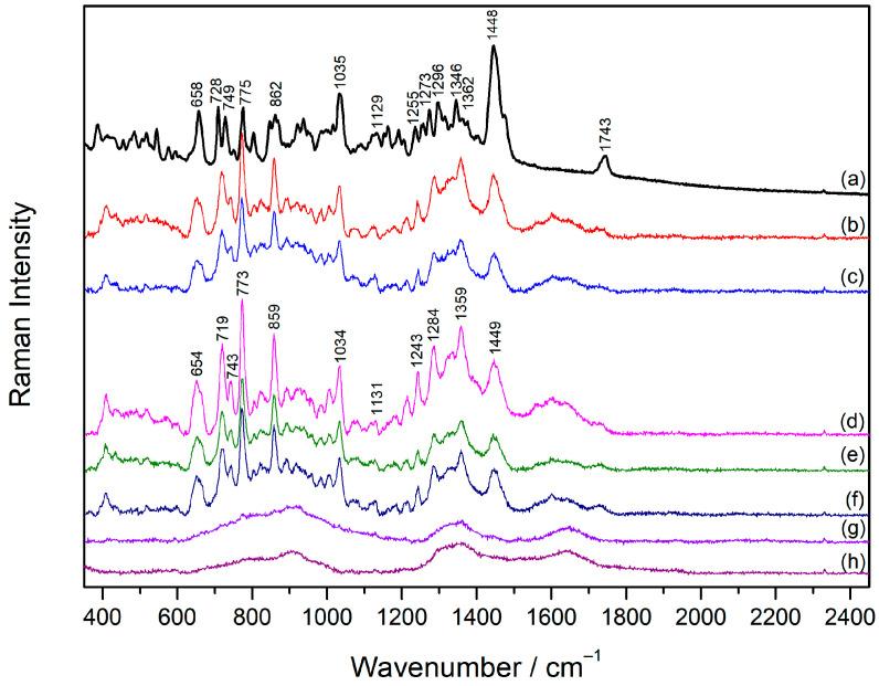 https://cdn.ncbi.nlm.nih.gov/pmc/blobs/2873/11767325/2f909b071e7b/molecules-30-00231-g004.jpg