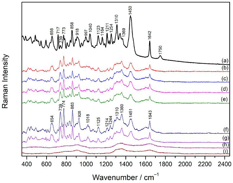 https://cdn.ncbi.nlm.nih.gov/pmc/blobs/2873/11767325/3fdf402dab7f/molecules-30-00231-g005.jpg