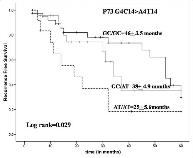 https://cdn.ncbi.nlm.nih.gov/pmc/blobs/2873/3841553/c9eeffe0c957/IJHG-19-293-g006.jpg
