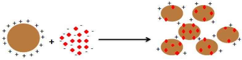 https://cdn.ncbi.nlm.nih.gov/pmc/blobs/2874/6017259/66f03e622e47/molecules-23-00868-g003.jpg
