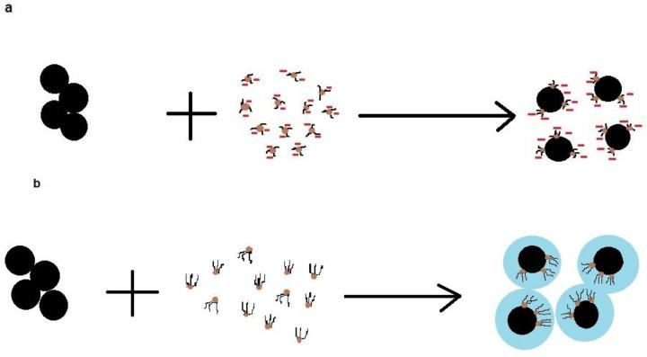 https://cdn.ncbi.nlm.nih.gov/pmc/blobs/2874/6017259/ccaa69adfb08/molecules-23-00868-g005.jpg