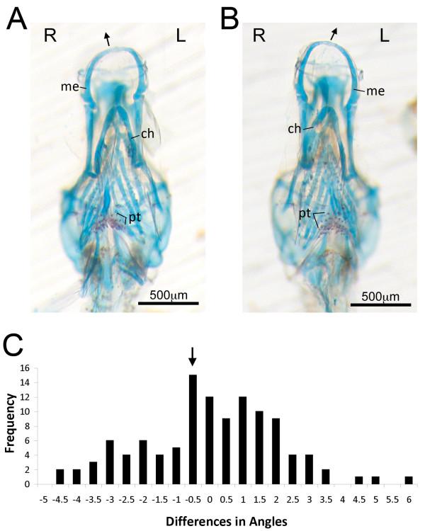 https://cdn.ncbi.nlm.nih.gov/pmc/blobs/2876/2828976/f5c3eca1f8b1/1741-7007-8-8-4.jpg