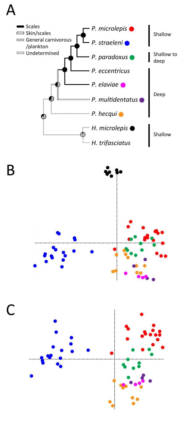 https://cdn.ncbi.nlm.nih.gov/pmc/blobs/2876/2828976/fd61014ce4c8/1741-7007-8-8-2.jpg