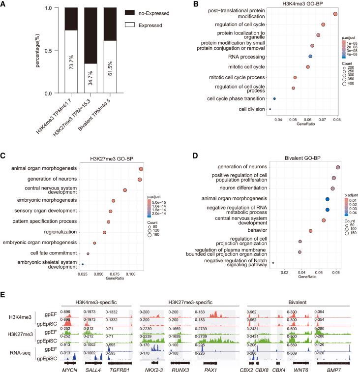 https://cdn.ncbi.nlm.nih.gov/pmc/blobs/2877/11864139/0bd9538ef235/gr4.jpg