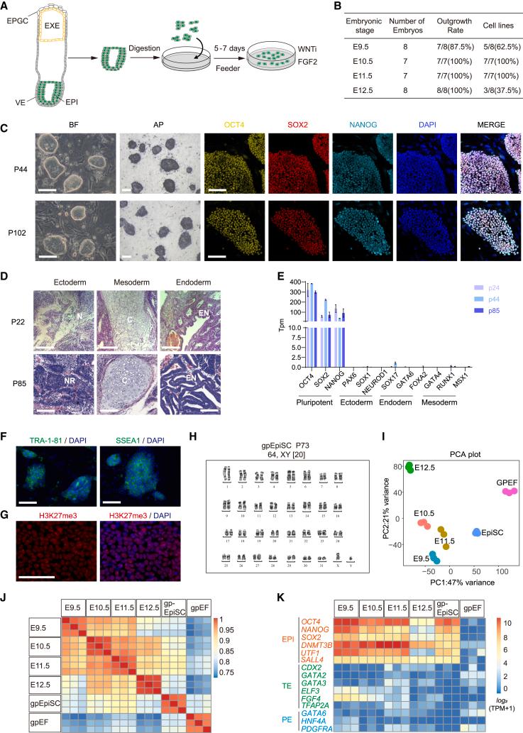 https://cdn.ncbi.nlm.nih.gov/pmc/blobs/2877/11864139/755b398c7656/gr1.jpg