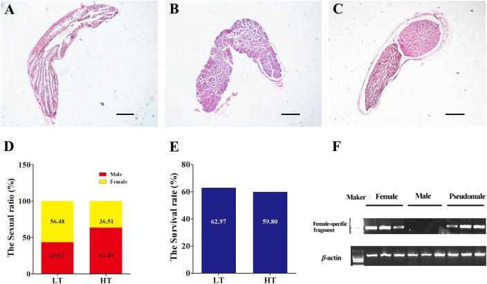 https://cdn.ncbi.nlm.nih.gov/pmc/blobs/2878/6548826/9dcb1c41b6cb/fgene-10-00522-g002.jpg