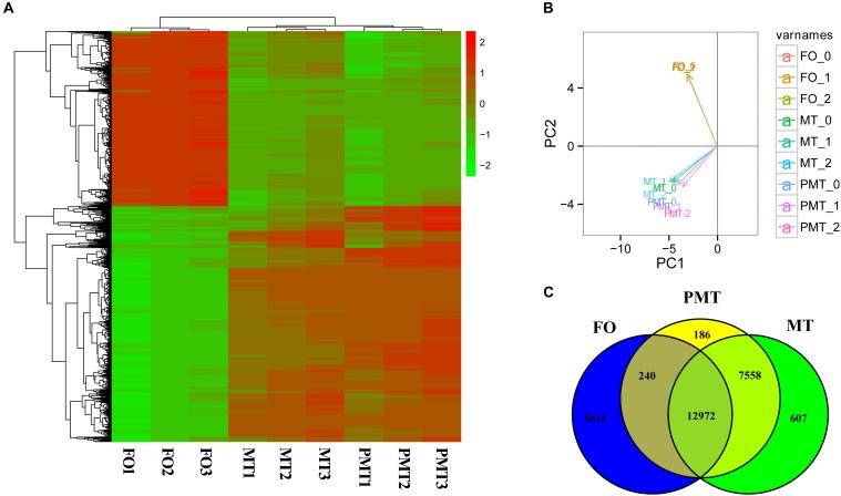 https://cdn.ncbi.nlm.nih.gov/pmc/blobs/2878/6548826/cc2fda5457e7/fgene-10-00522-g003.jpg