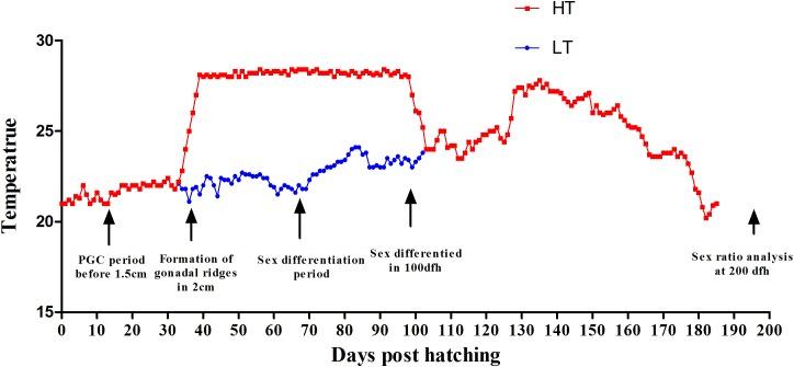https://cdn.ncbi.nlm.nih.gov/pmc/blobs/2878/6548826/fb8a98582ada/fgene-10-00522-g001.jpg