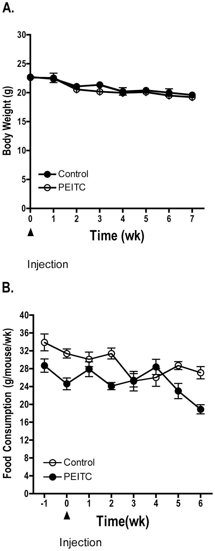 https://cdn.ncbi.nlm.nih.gov/pmc/blobs/2879/3584556/2fc70b76edb6/IJO-40-04-1113-g00.jpg
