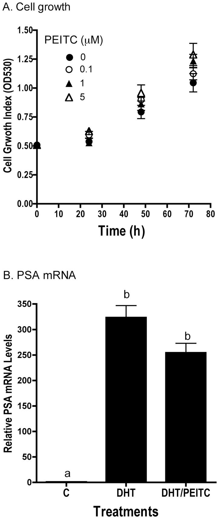 https://cdn.ncbi.nlm.nih.gov/pmc/blobs/2879/3584556/83acf3cfdf7d/IJO-40-04-1113-g09.jpg