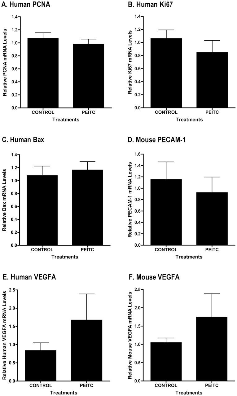 https://cdn.ncbi.nlm.nih.gov/pmc/blobs/2879/3584556/acb0b3def46b/IJO-40-04-1113-g06.jpg