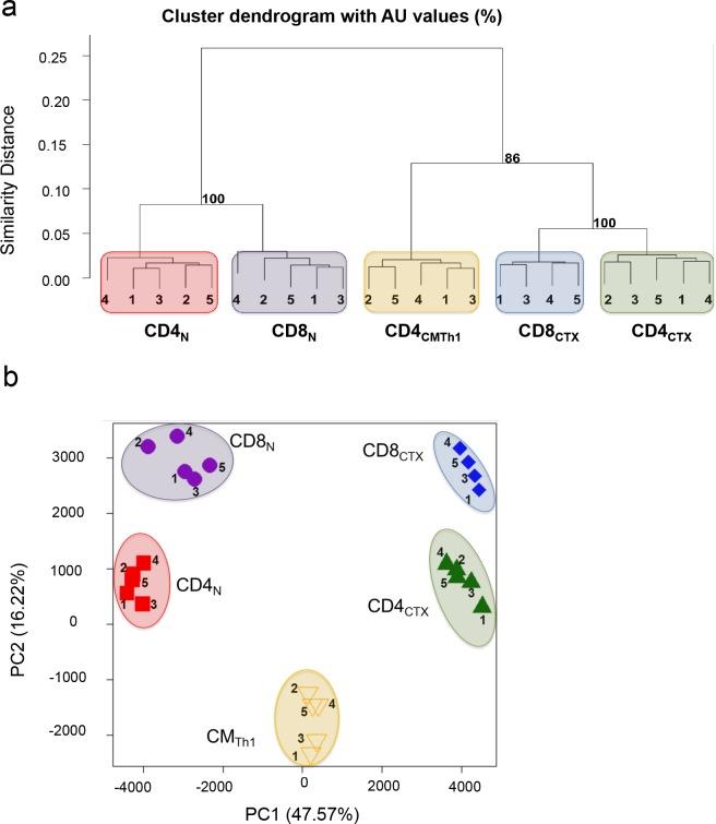 https://cdn.ncbi.nlm.nih.gov/pmc/blobs/287a/5844691/0f0bce59d139/elife-30496-fig3-figsupp2.jpg