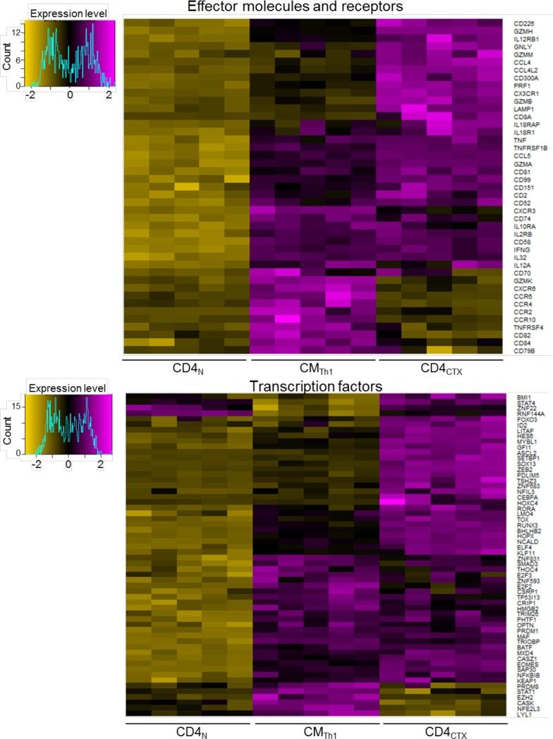 https://cdn.ncbi.nlm.nih.gov/pmc/blobs/287a/5844691/26912ead6c4e/elife-30496-fig5-figsupp1.jpg