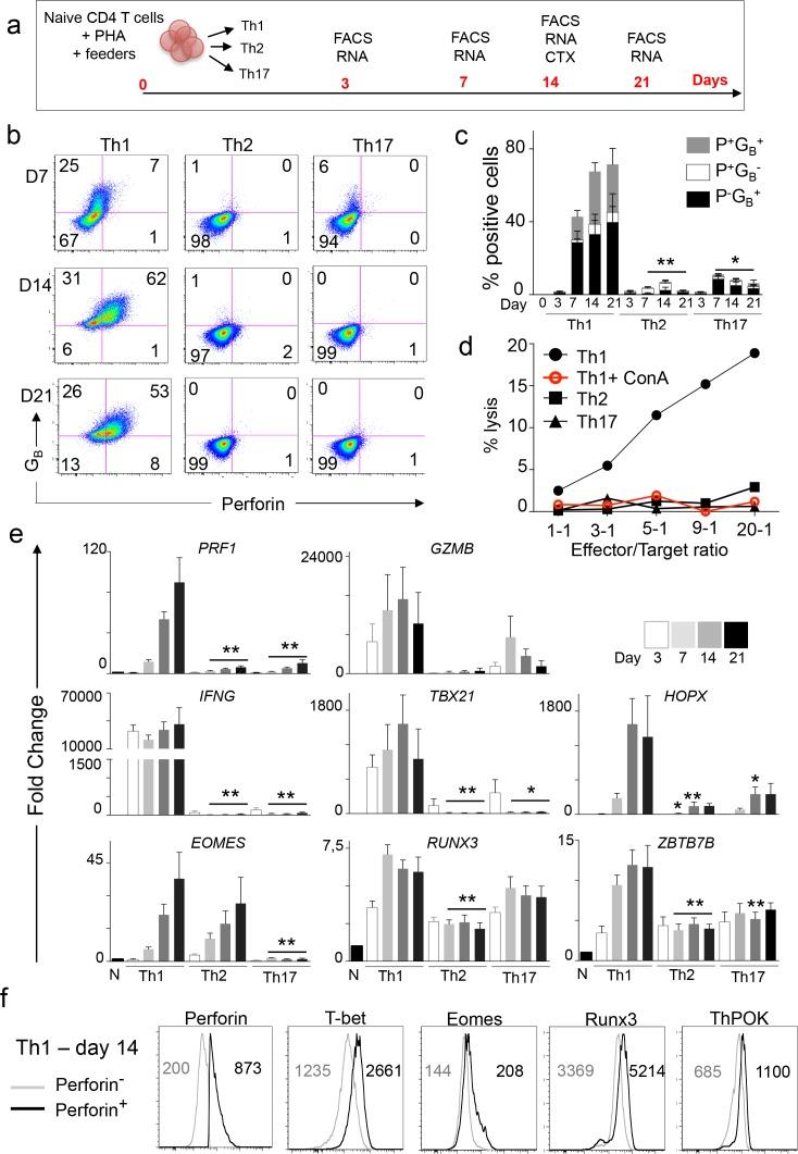 https://cdn.ncbi.nlm.nih.gov/pmc/blobs/287a/5844691/606a79551495/elife-30496-fig6.jpg