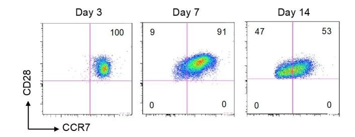 https://cdn.ncbi.nlm.nih.gov/pmc/blobs/287a/5844691/89bab0498626/elife-30496-resp-fig2.jpg