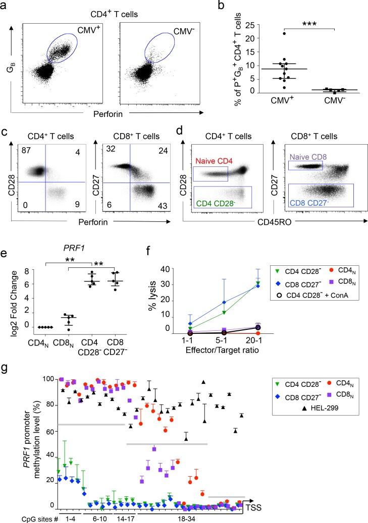 https://cdn.ncbi.nlm.nih.gov/pmc/blobs/287a/5844691/f0c59efe75bf/elife-30496-fig1.jpg