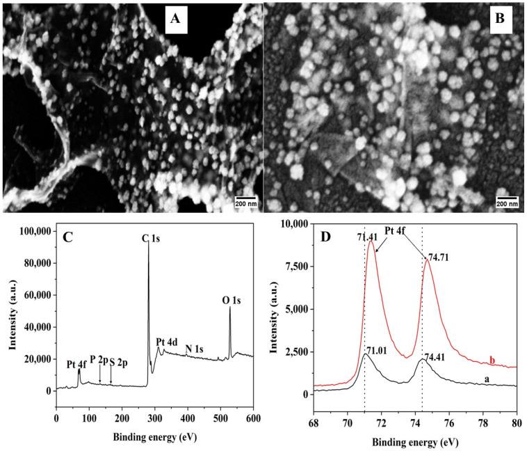 https://cdn.ncbi.nlm.nih.gov/pmc/blobs/287b/11764140/abfbafc6e3b7/biosensors-15-00015-g002.jpg