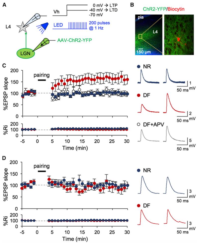 https://cdn.ncbi.nlm.nih.gov/pmc/blobs/287c/6233297/5710bc32083a/nihms-1508941-f0002.jpg