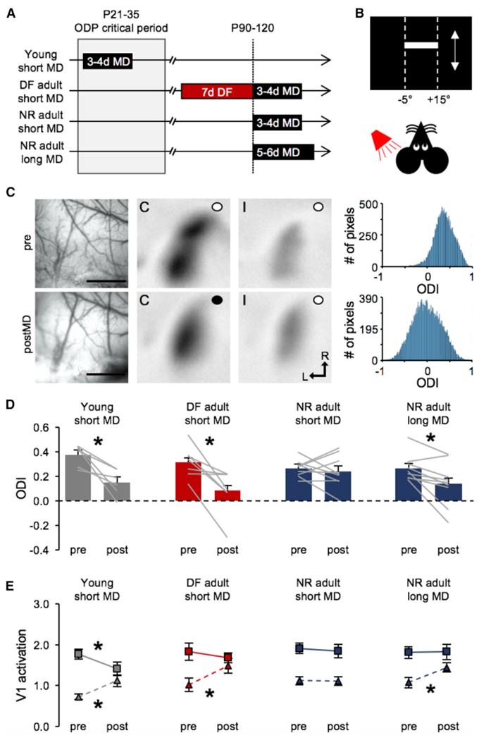 https://cdn.ncbi.nlm.nih.gov/pmc/blobs/287c/6233297/c928a18e72ec/nihms-1508941-f0005.jpg