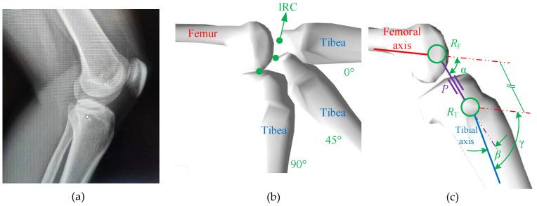 https://cdn.ncbi.nlm.nih.gov/pmc/blobs/287d/10886838/e48c7f10f2c7/biomimetics-09-00098-g001.jpg